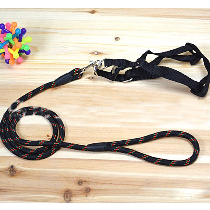 Dog Chest Back Leash Set Adjustable Chest