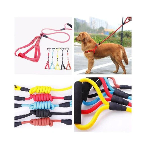 Dog Chest Back Leash Set Adjustable Chest