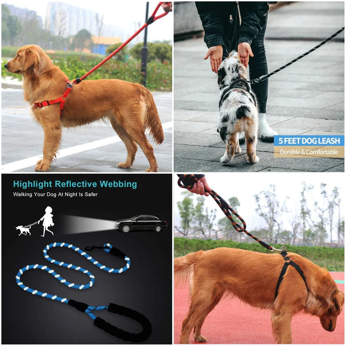 Dog Chest Back Leash Set Adjustable Chest